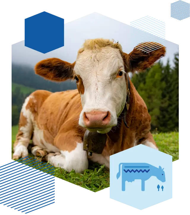 Проверенные фермы