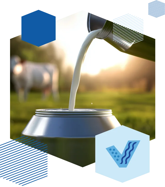 Правильные ингредиенты