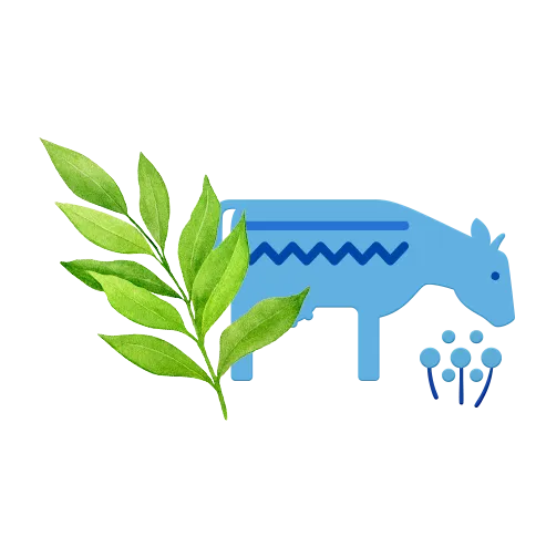 Молоко 2,5% / 930 мл